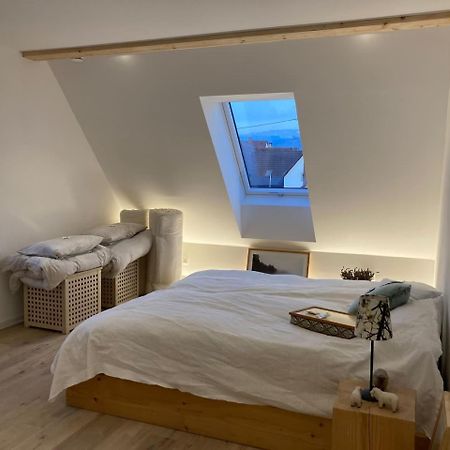Neues Penthouse-Loft Mit Konuskarte Fuer Gratis Oepnv Apartment Ehrenkirchen Ngoại thất bức ảnh