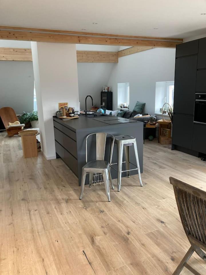 Neues Penthouse-Loft Mit Konuskarte Fuer Gratis Oepnv Apartment Ehrenkirchen Ngoại thất bức ảnh